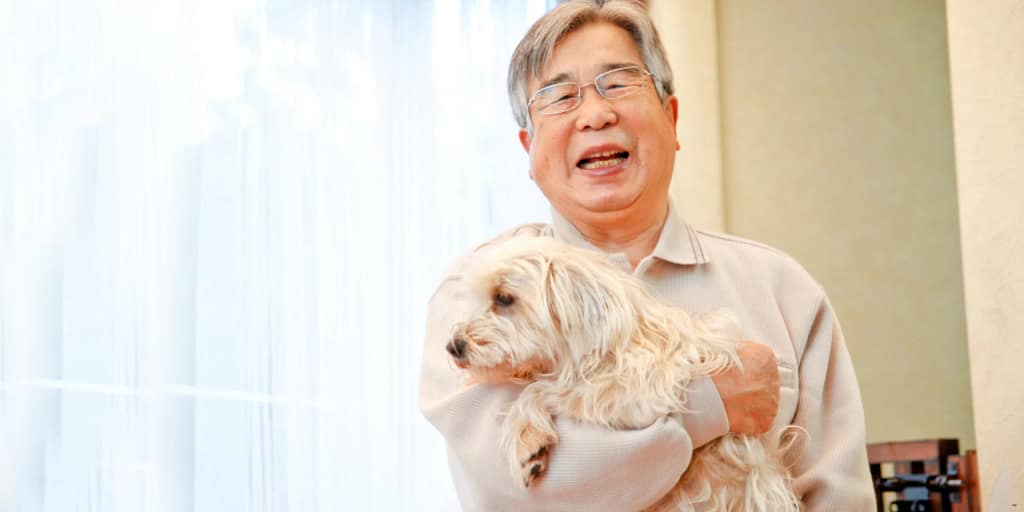 2026 What is a companion animal in Australian law scaled What is a companion animal in Australian law | Justice Family Lawyers