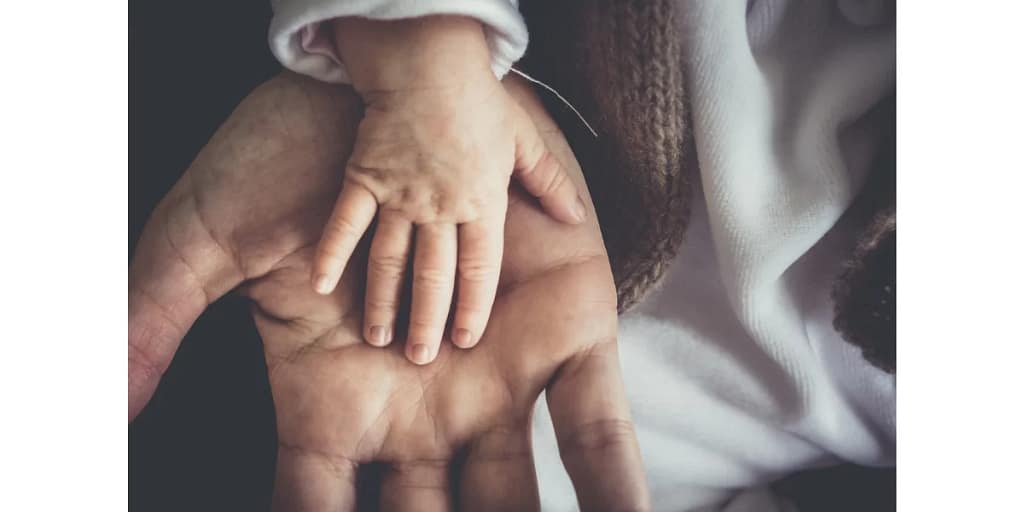 2026 child custody lawyer 2 child custody lawyer | Justice Family Lawyers