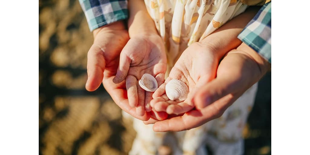 2026 can child support take money from a joint bank account australia can child support take money from a joint bank account australia | Justice Family Lawyers