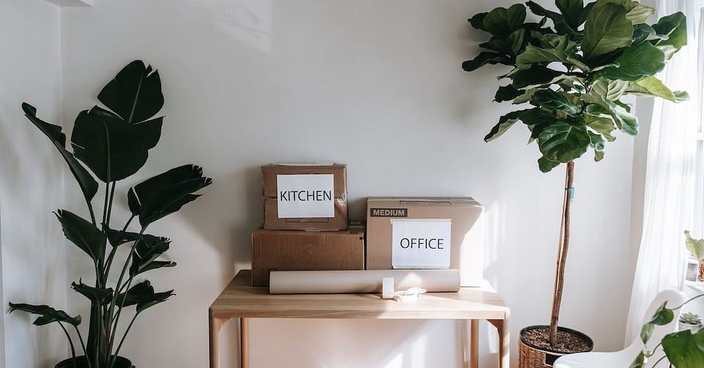 2026 pexels blue bird 7218504 how long do i have to keep my ex partners belongings australia | Justice Family Lawyers