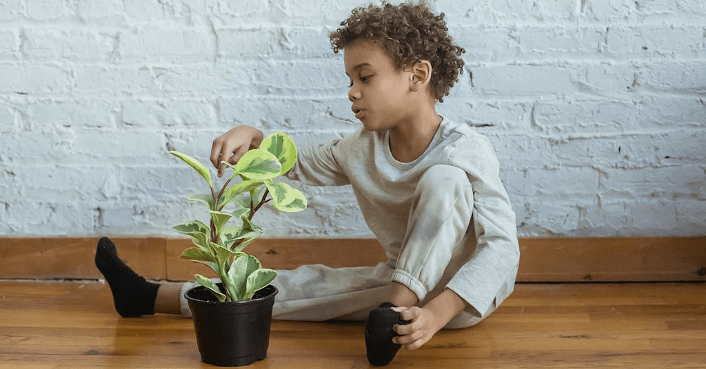 2026 Child Impact Report Child Impact Report | Justice Family Lawyers