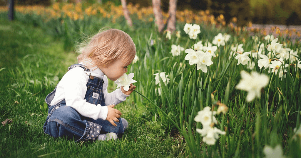 2026 custody arrangement toddlers custody arrangement toddlers | Justice Family Lawyers