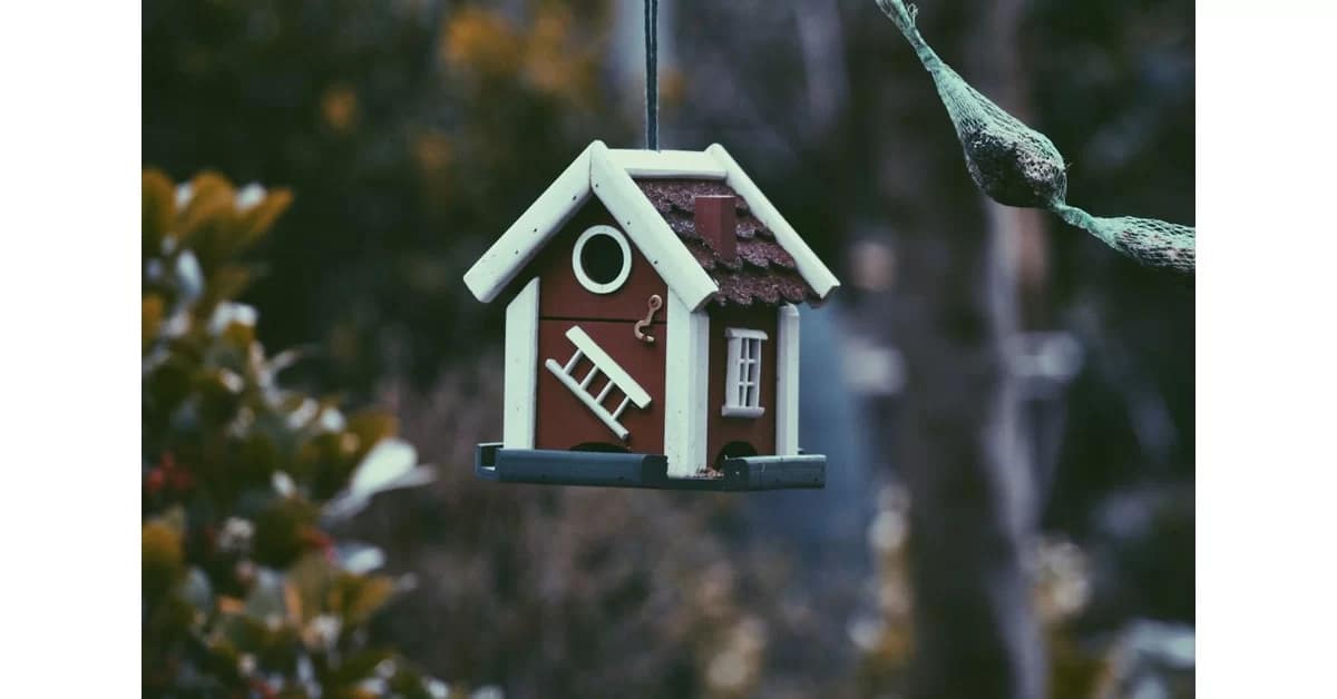 How to Negotiate Buying a House in Australia: Your 2024 Guide to Winning the Bidding War 32 how to negotiate buying a house | CJC Law