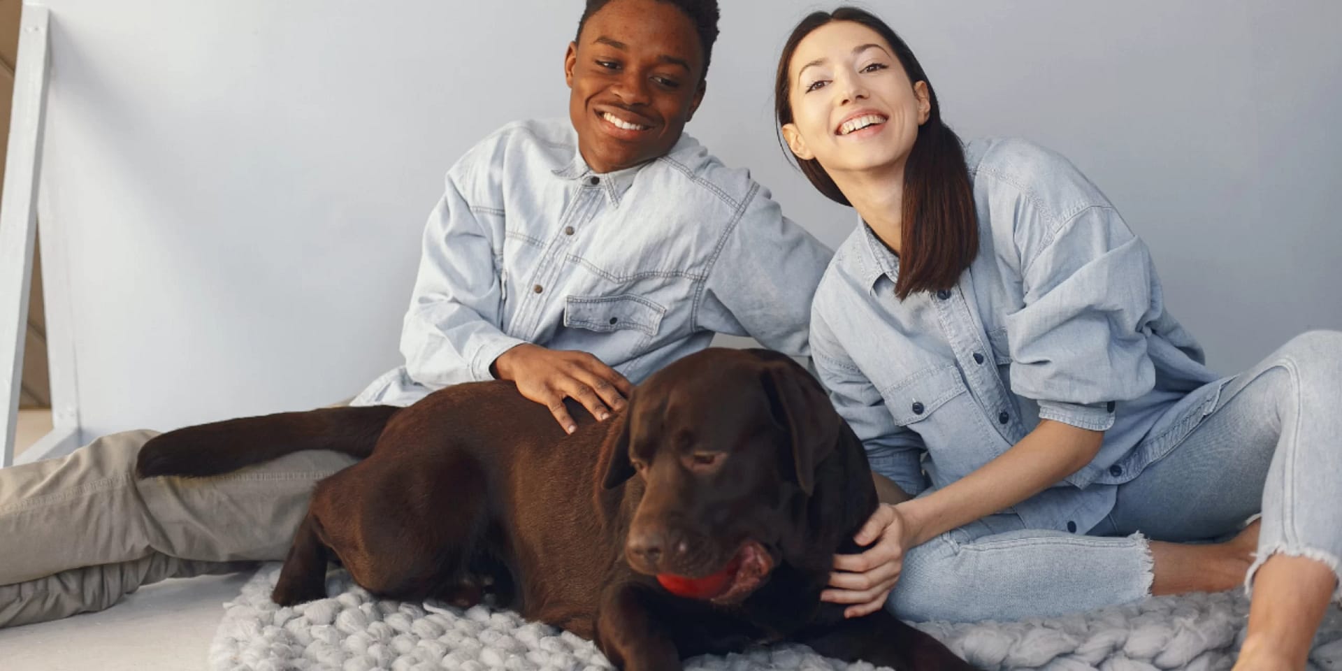 Pet Custody Australia | Justice Family Lawyers