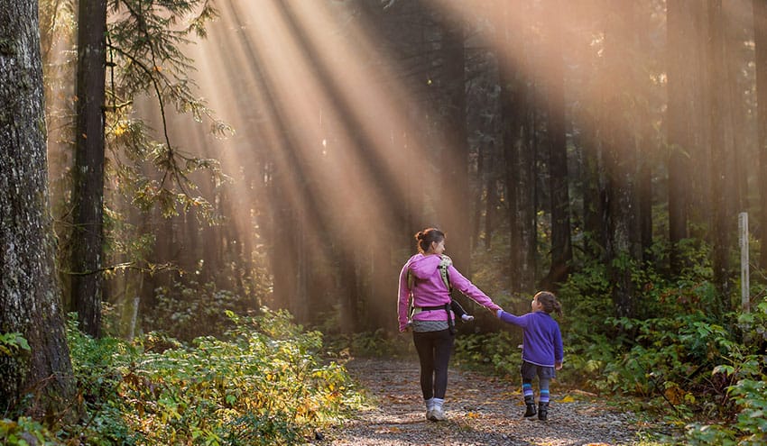 2026 Parent 1 Parent 1 - parental alienation